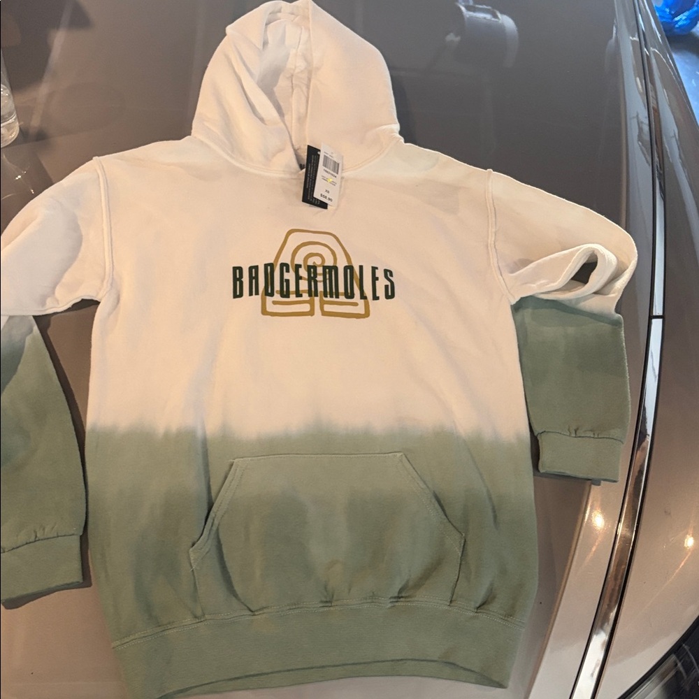 Box Lunch avatar the last air bender badgermoles ombré green white XS hoodie NWT